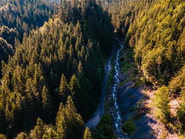 SUV arabası off-road 'da. Karpat Dağları 'ndaki Kanyon. Boşluğu kopyala