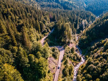 SUV arabası off-road 'da. Karpat Dağları 'ndaki Kanyon. Boşluğu kopyala