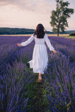 Lavanta tarlasında gün batımında beyaz elbiseli muhteşem bir kadın.