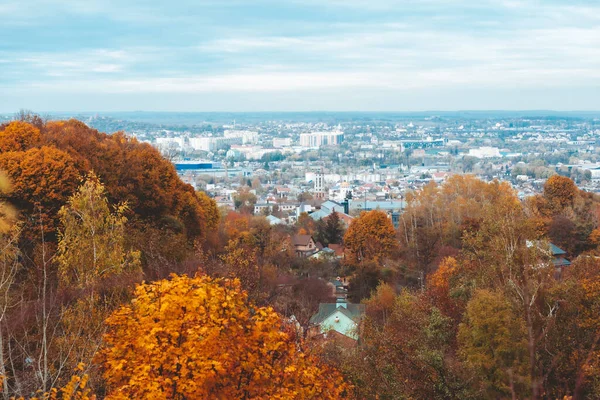 秋が来ています黄色の木公園都市背景コピースペース — ストック写真