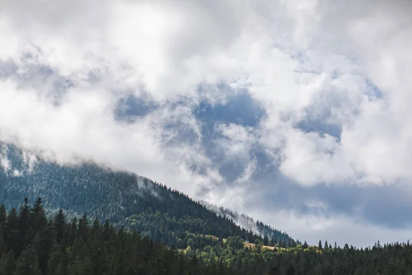 Landschap Uitzicht Karpaten Bergen Witte Bewolkte Dag — Stockfoto