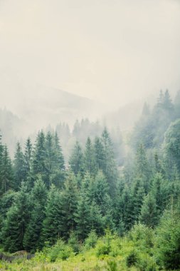 Sonbahar bulutlu Karpatya dağları uzayı kopyalayabilir