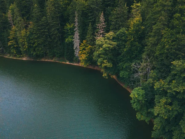 Aerial view of carpathian lake synevyr — Stock Photo, Image