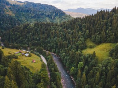 Karpat dağlarının yaz mevsiminde havadan görünüşü