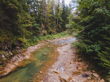 Ukrayna Karpatya dağlarında küçük bir nehir