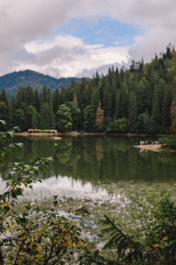 Ukrayna Karpatı Gölü Sinovyr Sonbahar Zamanı Kopyalama Uzayı
