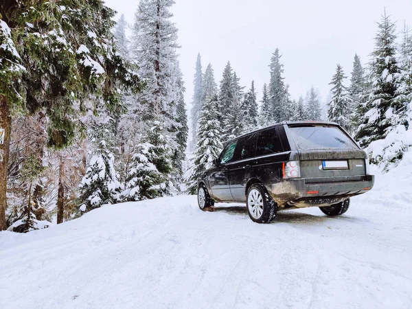 Suv Auto Besneeuwde Bos Kopieerruimte — Stockfoto