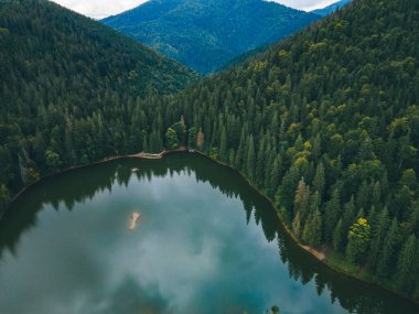 Carpathian Gölü Synevyr Sonbahar sezonunun hava manzarası