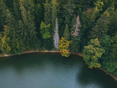 Carpathian Gölü Synevyr Sonbahar sezonunun hava manzarası