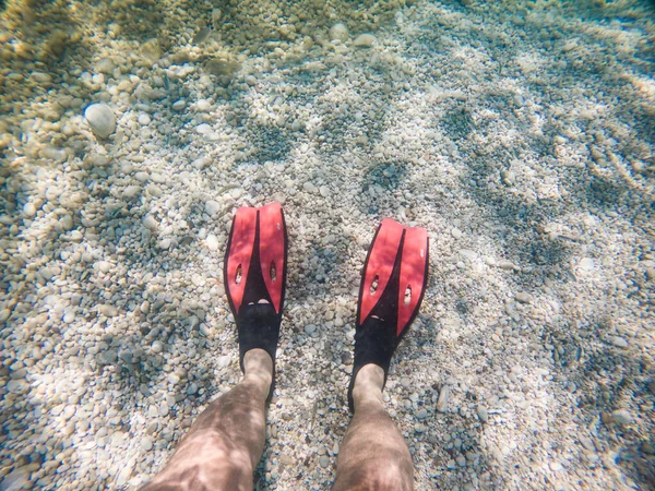 Man Benen Flippers Onderwater Kopieerruimte Zomer Vakantie — Stockfoto