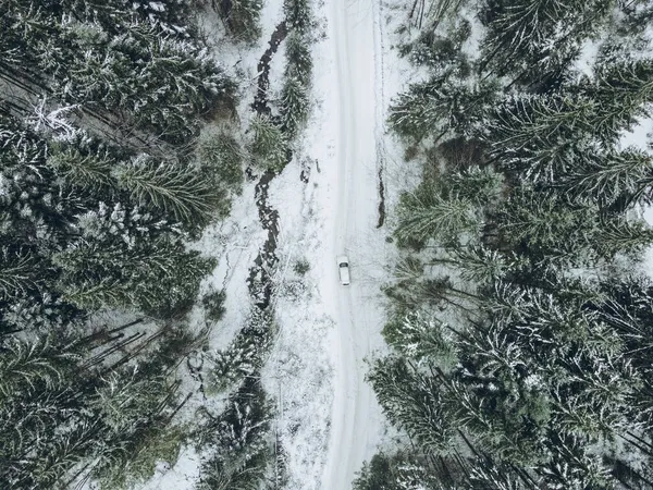 Vista Aerea Fuoristrada Inverno Foresta Sentiero Copia Spazio — Foto Stock