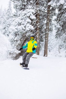 Kış ormanlarında snowboardçu adam Boşluğu kopyaladı
