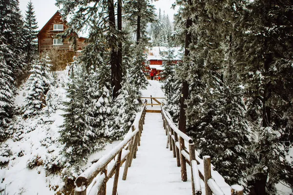 Snow Covered Bridge Forest Building Background — Stock Photo, Image