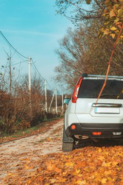 Sonbahar sezonu fotokopi alanında yol kenarında beyaz SUV arabası.