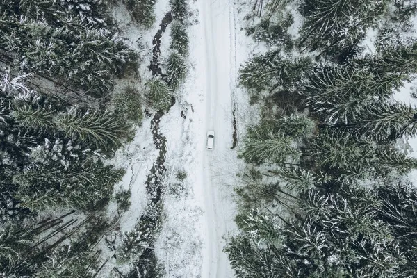 Εναέρια Άποψη Των Οχημάτων Εκτός Δρόμου Στο Χειμερινό Δάσος Μονοπάτι — Φωτογραφία Αρχείου