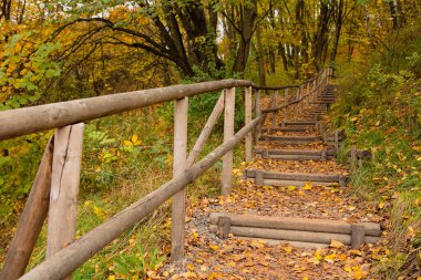 Sonbahar parkındaki merdivenler sonbahar sezonu
