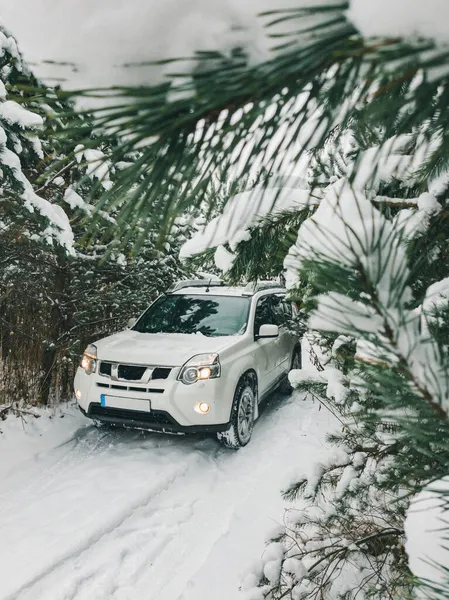 Suv Autó Havas Erdő Másolás Hely — Stock Fotó