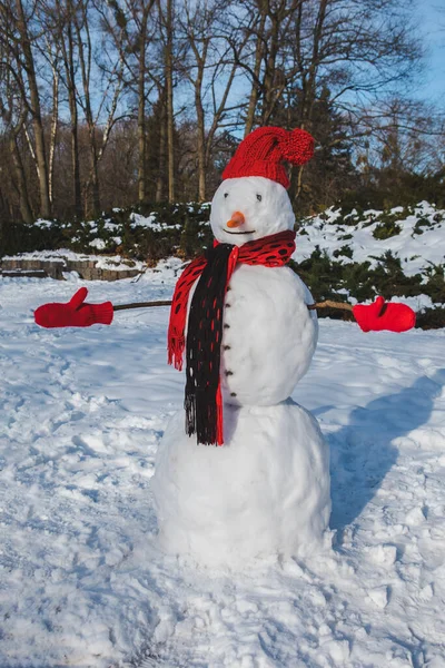 Bonhomme Neige Chapeau Rouge Saison Hiver — Photo