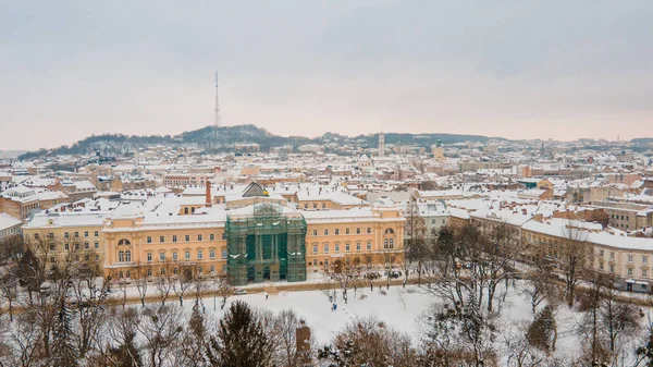 Εναέρια Άποψη Του Πάρκου Lviv Στο Κέντρο Κατά Χειμερινή Ημέρα — Φωτογραφία Αρχείου