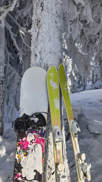 Snowboard Esqui Perto Pinheiros Nevados Após Dia Nevasca — Fotografia de Stock