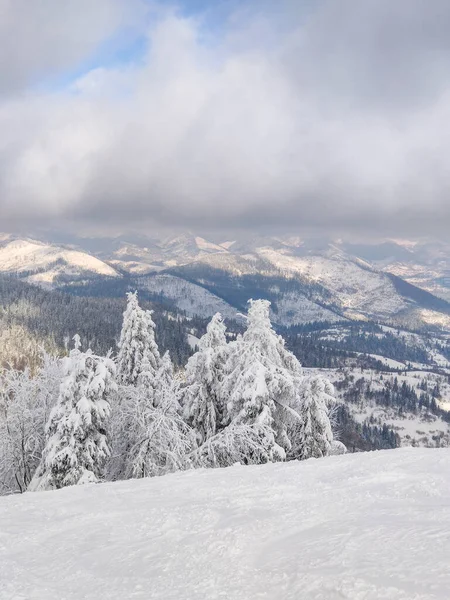 Χιονισμένα Ουκρανικά Καρπάθια Βουνά Τοπίο — Φωτογραφία Αρχείου