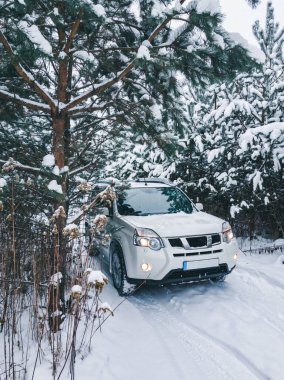 Karlı ormanda arazi aracı kopyalama alanı