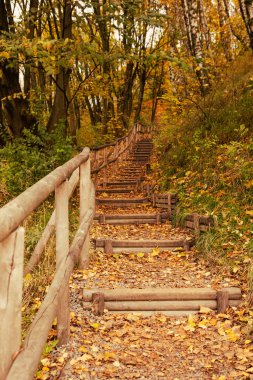 Sonbahar parkındaki merdivenler sonbahar sezonu