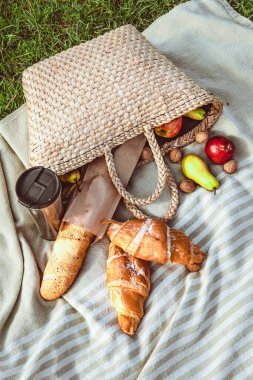 Nehir kıyısında piknik. Sonbahar güneşli gün. Kopyalama alanı.