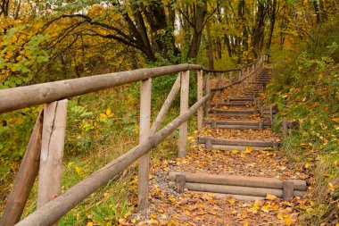 Sonbahar parkındaki merdivenler sonbahar sezonu