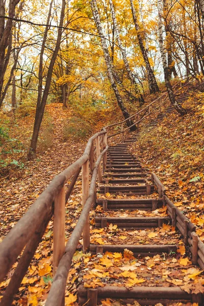 Schodiště Podzimní Sezóně Parku — Stock fotografie