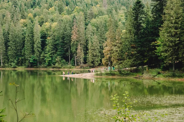 Ukracinian Carpathian Lake Synevyr Autumn Time Copy Space — 스톡 사진