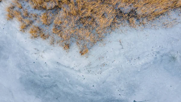 Reed Froze Frozen Lake Overhead View — Stock Photo, Image