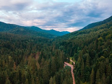 Karpat dağlarındaki ormanın havadan görünüşü uzayı taklit eder