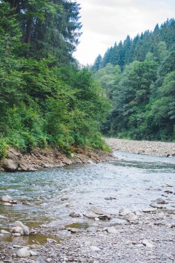 İnsanlar Mountain River fotokopi alanında rafting yapıyor.
