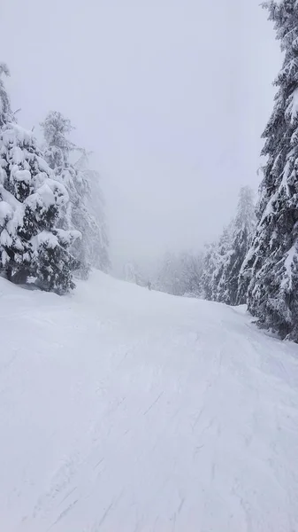 Άποψη Ομιχλώδη Snowboard Σκι Κλίση Αντίγραφο Χώρου — Φωτογραφία Αρχείου