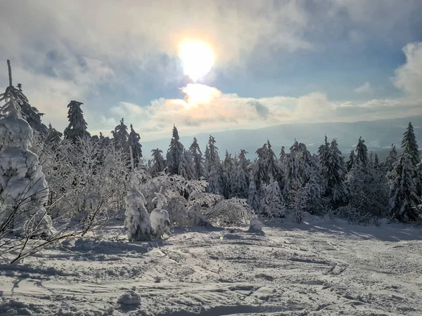 Άποψη Του Χιονισμένα Ουκρανικά Καρπάθια Βουνά Αντιγράψετε Χώρο — Φωτογραφία Αρχείου