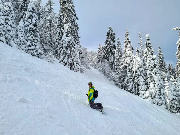 Man Snowboarder Poeder Besneeuwde Helling Winter Extreme Sport — Stockfoto