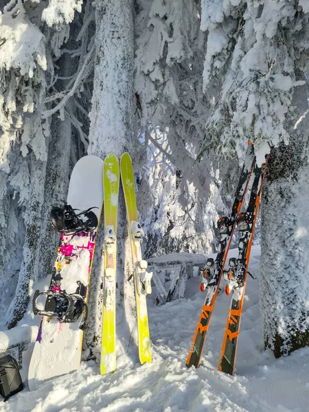 Snowboard Ski Buurt Van Besneeuwde Pijnbomen Sneeuwstorm Poeder Dag — Stockfoto