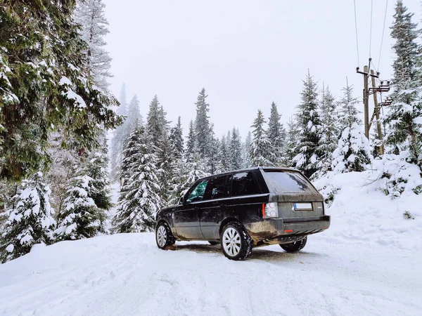 Suv Car Snowed Forest Copy Space — Stock Photo, Image