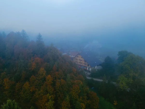 Aerial View Autumn Forest Misty Fogy Weather Copy Space — Stock Photo, Image