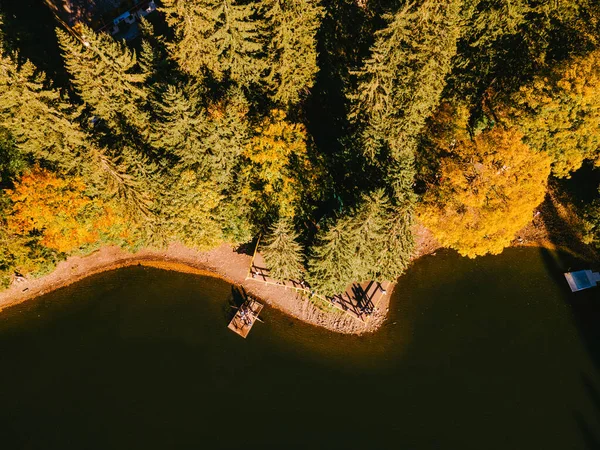 Vista Aérea Espaço Cópia Estação Outono Lago Carpathian — Fotografia de Stock