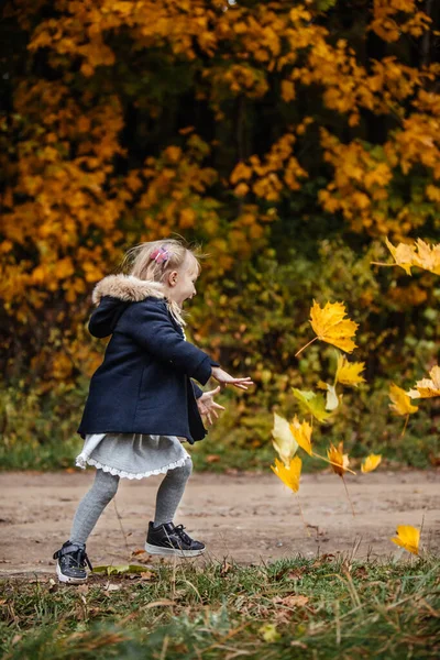 Porträt Niedlicher Kleinkind Mädchen Herbst Outfit Mit Ahornblättern Den Händen — Stockfoto