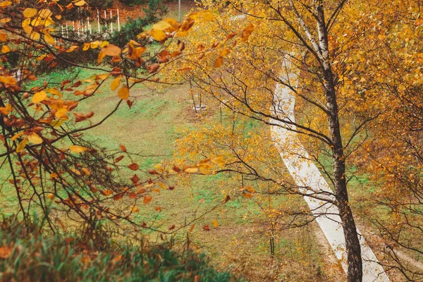 Droga Jesiennym Mieście Park Publiczny Przestrzeń Kopia — Zdjęcie stockowe