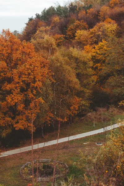 Droga Jesiennym Mieście Park Publiczny Przestrzeń Kopia — Zdjęcie stockowe