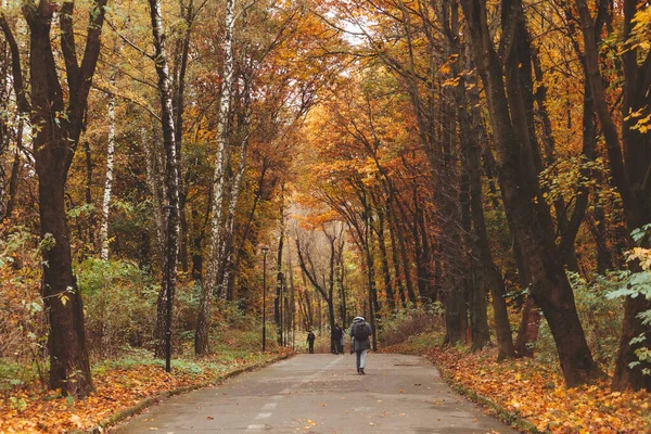 Lviv Ucraina Noiembrie 2020 Oameni Care Merg Aer Liber Până — Fotografie, imagine de stoc