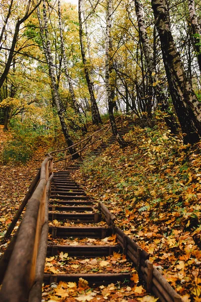 Σκάλες Στην Φθινοπωρινή Περίοδο Πάρκο — Φωτογραφία Αρχείου