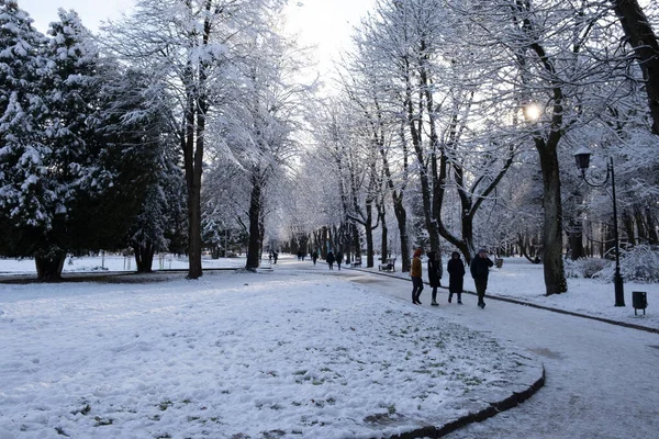 Winter Öffentlichen Park Mit Schnee Kopierraum Bedeckt — Stockfoto