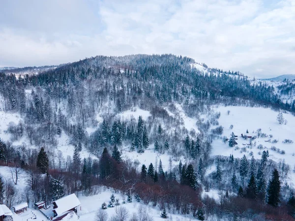 Widok Lotu Ptaka Śniegu Ukraińskich Karpat Przestrzeni Kopii — Zdjęcie stockowe