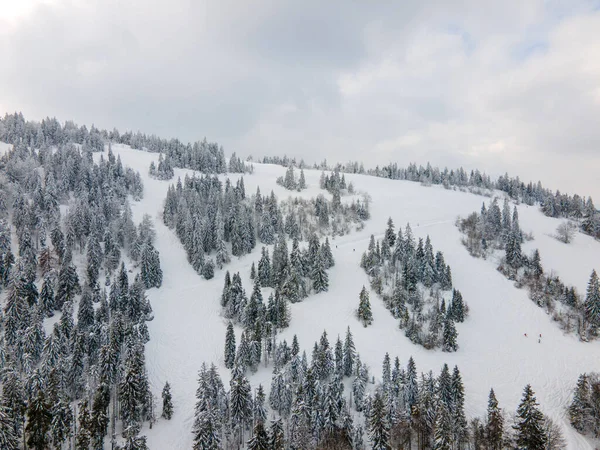 Vue Aérienne Montagne Ski Trostyan Ukraine Espace Copie Montagne Des — Photo