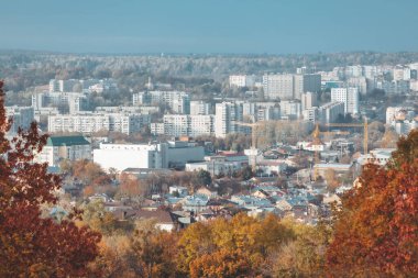 Sonbahar geliyor. Arka planda sarı ağaçlar park alanı var.